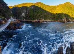 Leisure with Pleasure