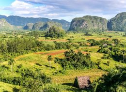 Leisure with Pleasure