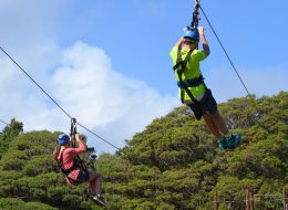 Leisure with Pleasure