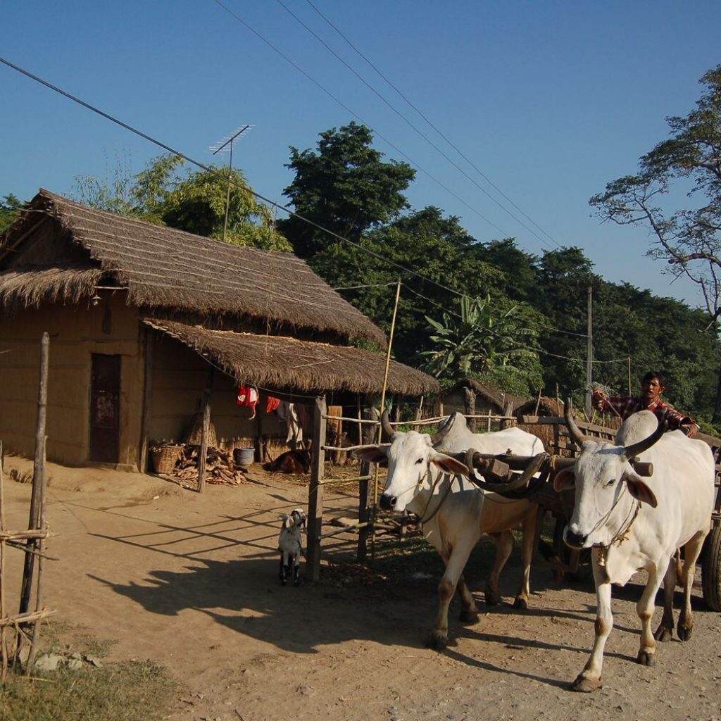 Tharu Village and Way of Living ...|Popular Cities to visit on your adventure in Nepal